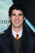 Darren+criss+harry+potter+premiere+joe+walker