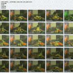 samantha robson sex tape