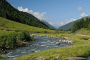 f001a346655331.gif