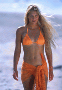 566e9750187206.gif