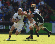 74a93350297123.gif