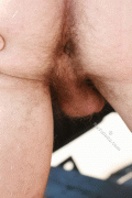 imagebam.com