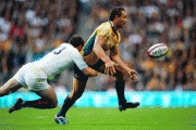 58441155158551.gif
