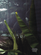 0a579170575543.gif