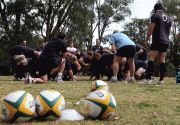 fccff283339998.gif